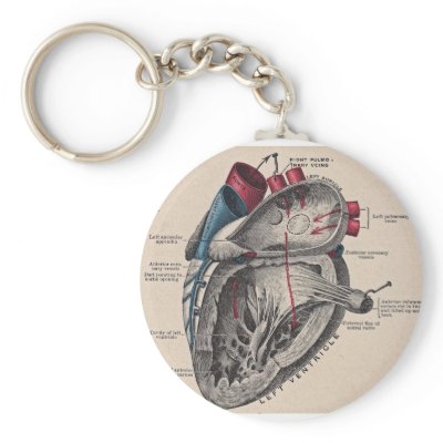 I give you my heart key chains
