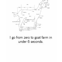 I go from zero to goat farm in under 6 seconds t-shirts