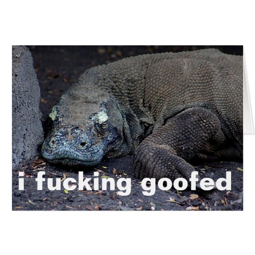 i goofed greeting card Zazzle