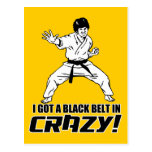 I Got A Black Belt in Crazy Post Cards