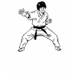 I Got A Black Belt in Crazy Tshirt