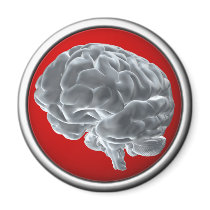 I got brains! fridge magnet