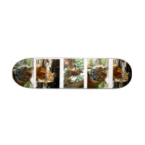 I got the power_ Skateboard_by Elenne Boothe