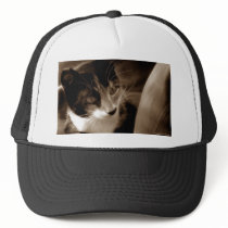 I got your back...Dawg! hats