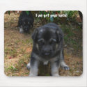 I got your back! German Shepherd Mousepad by KELLBELL535 I got your back! German Shepherd Mousepad