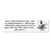 I Had an Affair with Cain! Bumper Sticker