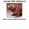 I HAD MY FIRST SESSION AT, HAIR CLUB FOR NAKED t-shirts