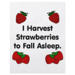 I harvest strawberries to fall asleep full color flyer