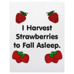 I harvest strawberries to fall asleep letterhead template