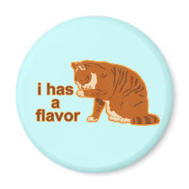 I has a flavor, LOL CAT magnets