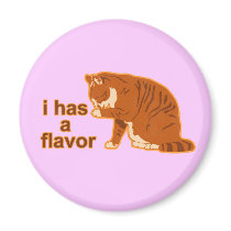 I has a flavor, LOL CAT magnets by jamierushad I has a flavor, LOL CAT magnets