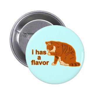 I has a flavor, LOL CAT Pins