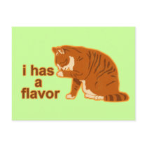 I has a flavor, LOL CAT Postcards