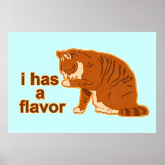 I has a flavor, Lol Cat Poster print