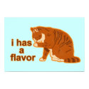 I has a flavor, Lol Cat Poster posters by jamierushad I has a flavor, Lol Cat Poster posters