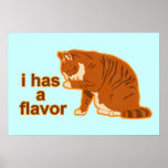 I has a flavor, Lol Cat Poster posters