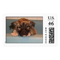 "I hate baths" stamp