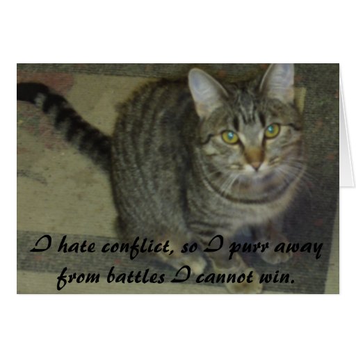 "I Hate Conflict" Cat Card Zazzle