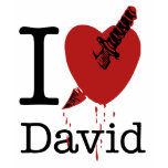 I Hate David Spoof I Love Tee Shirts