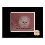 I hate everything postcards