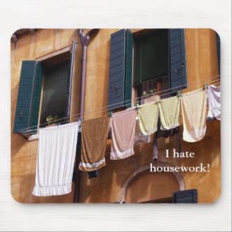 I hate housework!