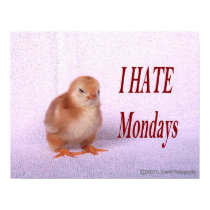 I HATE Mondays posters