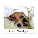 I hate Mondays. posters