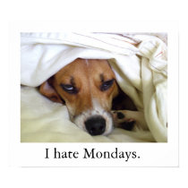 I hate Mondays. posters