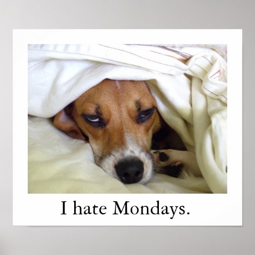 I hate Mondays. Print