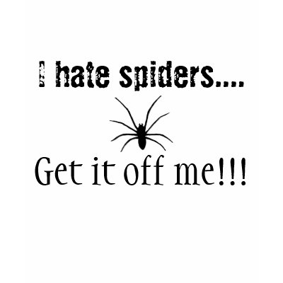 i hate spiders