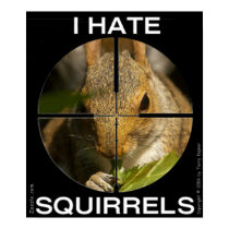 I Hate Squirrels - In the Scope - Poster posters by tkepner I Hate Squirrels - In the Scope - Poster posters