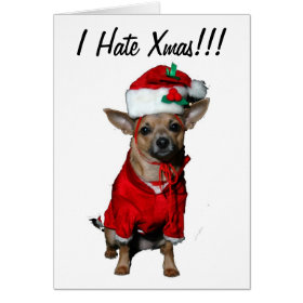 I Hate Xmas Chihuahua card