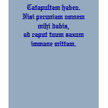 I have a catapult.... shirts