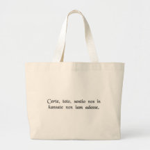 I have a feeling we're not in Kansas Canvas Bags