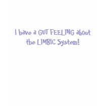I have a GUT FEELING about the LIMBIC System! t-shirts