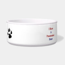 I Have A Panamanian Heart Pet Food Bowl