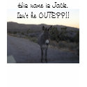 I have a really CUTE LITTLE ASS! Wanna see...? t-shirts by JerseyJohnny I have a really CUTE LITTLE ASS! Wanna see...? t-shirts