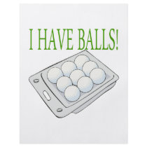 I Have Balls Custom Flyer