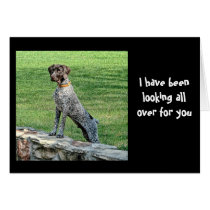 I have been looking all over for you cards