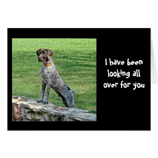 I Have Been Looking