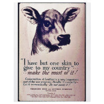 I Have But One Skin To Give To My Country flyers