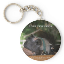 I have minis waiting... keychain