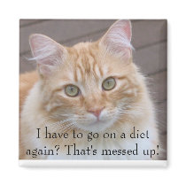 I have to go on a diet again? magnets
