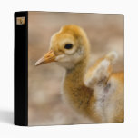 I Have Wings Vinyl Binder