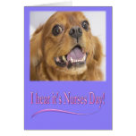 I hear it's Nurses Day Cavalier King Charles Card