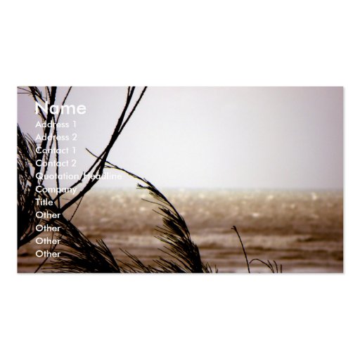 I Hear Wind/ Glimmering Sea Business Card Template (front side)