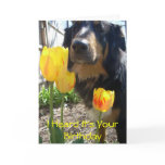 I Heard It's Your Birthday -funny card