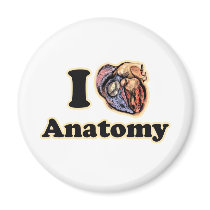 I heart Anatomy Science Super Geek Teacher Fridge Magnets