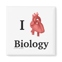 i heart biology magnet
