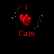 I Heart Cats t-shirts